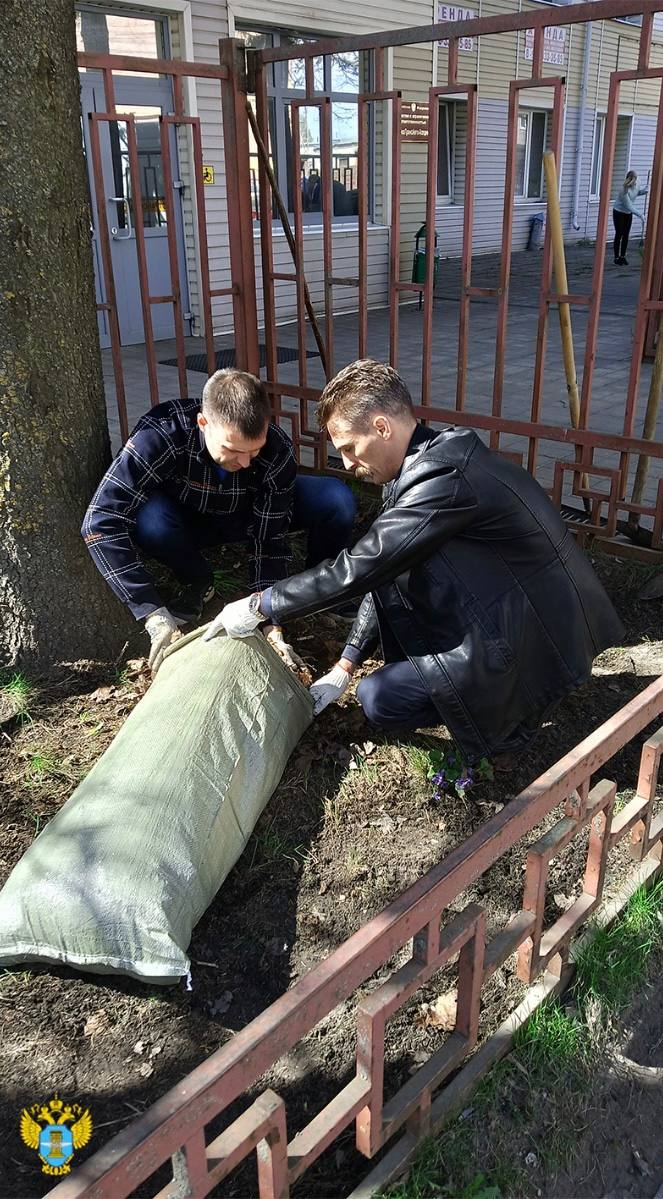 С 1 апреля в Брянске проходит месячник по благоустройству, экологии, озеленению и повышению санитарной культуры