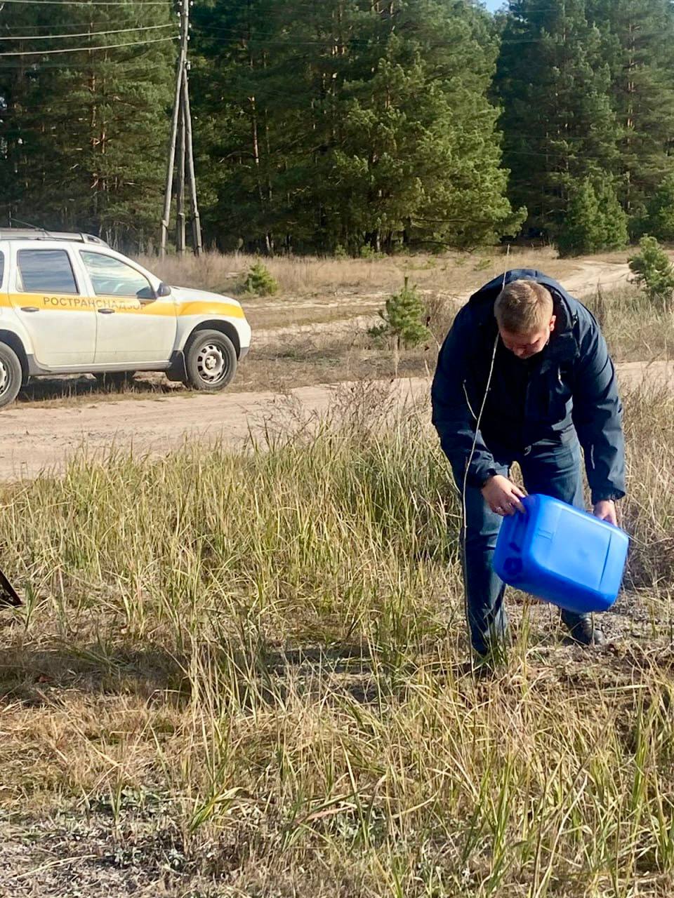 Сотрудники ТОГАДН по Брянской области приняли участие во всероссийской акции "Сохраним лес"